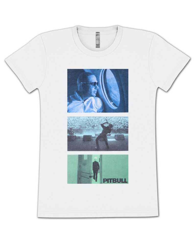 Pitbull Windows Ladies T-Shirt $4.89 Shirts