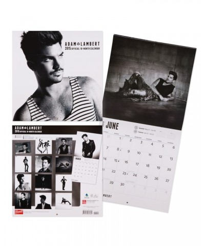 Adam Lambert 2015 SQUARE 12X12 CALENDAR $12.60 Calendars