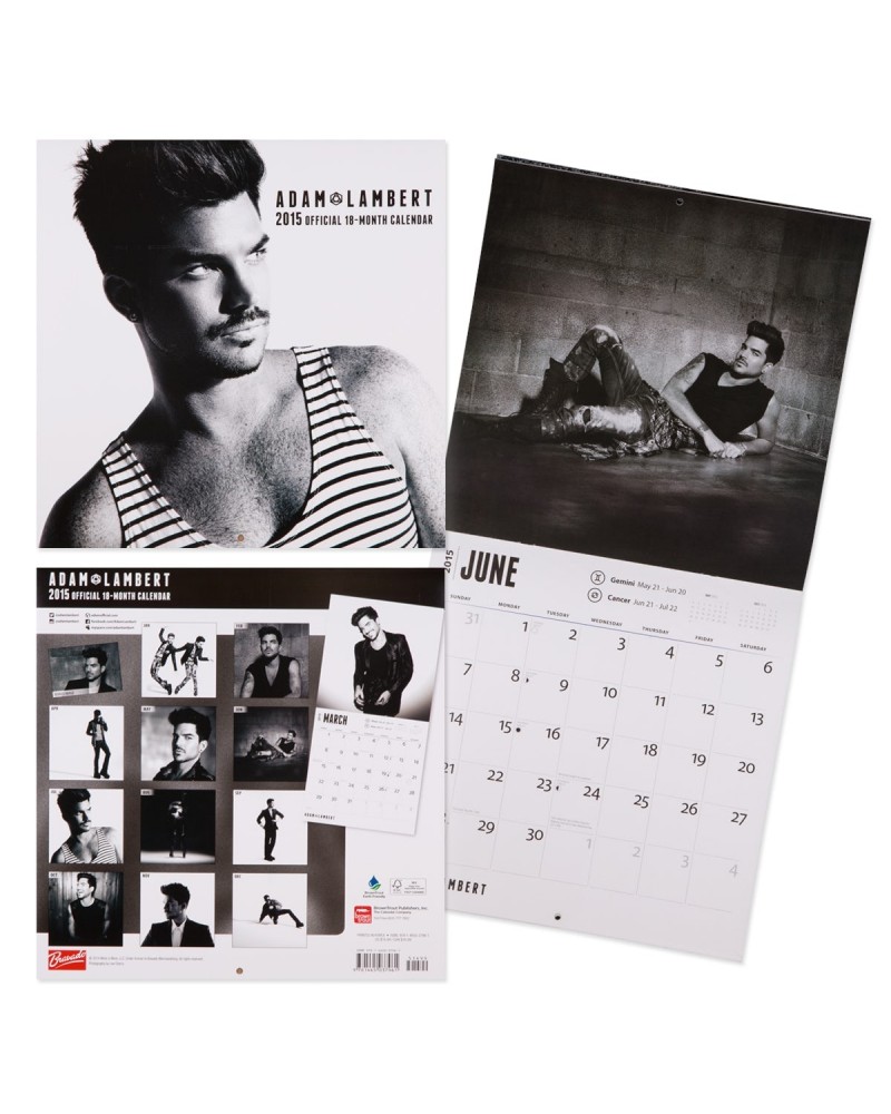 Adam Lambert 2015 SQUARE 12X12 CALENDAR $12.60 Calendars